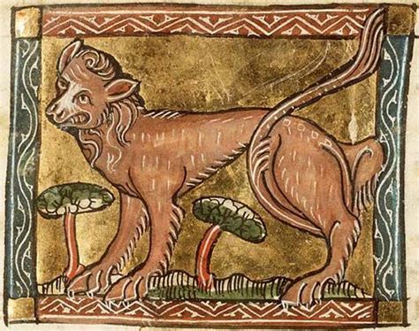 Medieval Bestiary : Lion Gallery | Medieval artwork, Medieval art ...