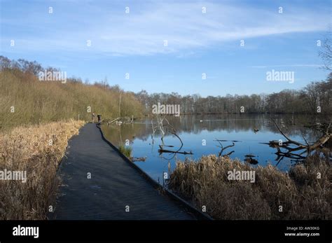 Fradley Pool Nature Reserve Fradley Junction, Alrewas, Burton-on-Trent, Staffordshire, England ...