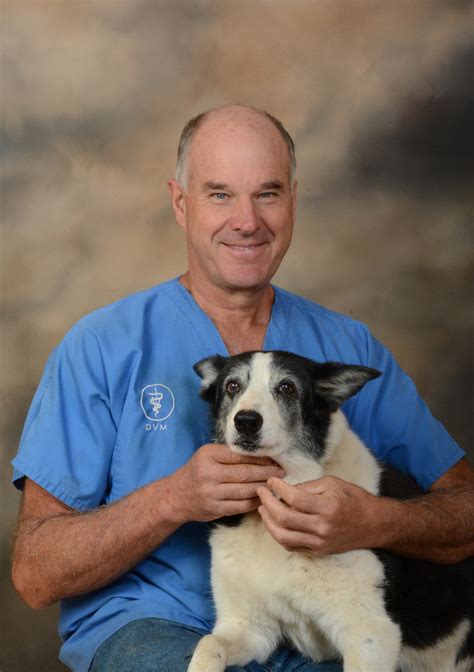 vca crocker animal hospital 5