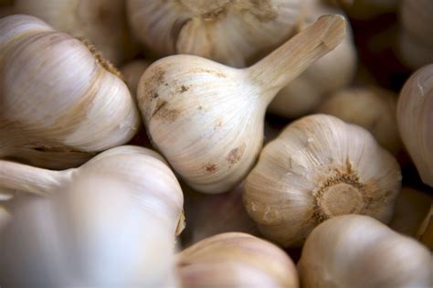 Healthy Fact Online: What are the health benefits of garlic?| What does ...