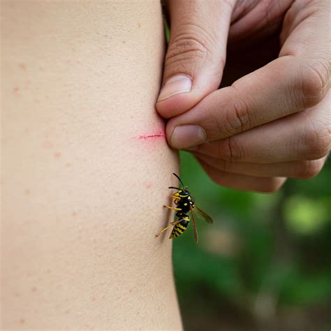 what does ringing in your left ear mean 2