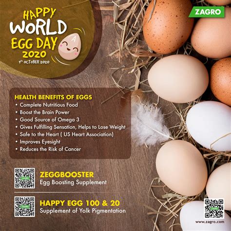 ZAGRO Global - HAPPY WORLD EGG DAY!🥚 Zagro celebrates... | Facebook