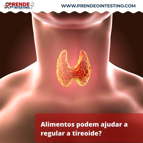 Como Tratar A Tireoide