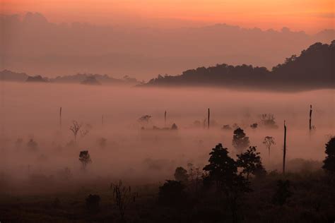 Fog mountain in the early morning sunrise 9566405 Stock Photo at Vecteezy