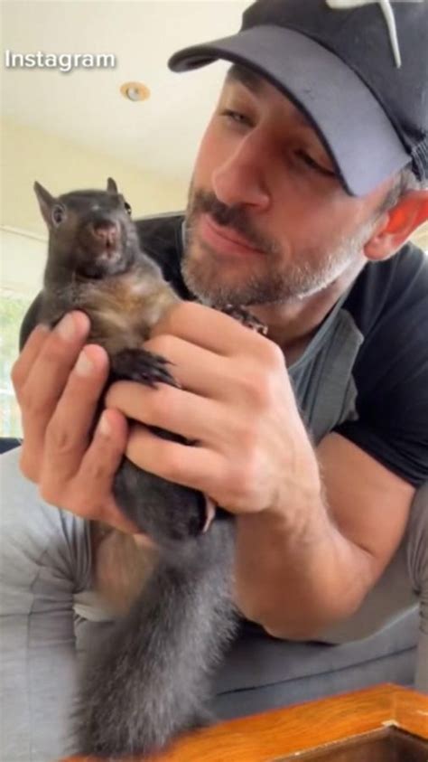 Mark Longo's Instagram, Twitter & Facebook on IDCrawl