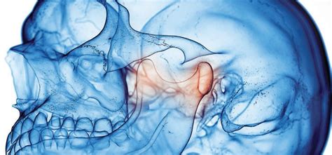 interpreting occlusion