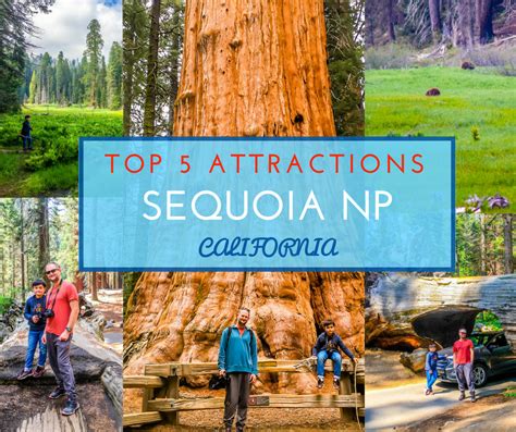 Top 5 Attractions in Sequoia National Park - NiceRightNow