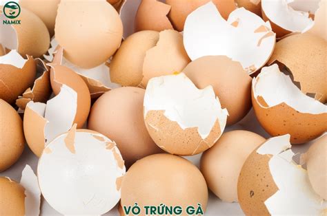 vo trung ga nhung cong dung bat ngo doi voi dat va cay trong