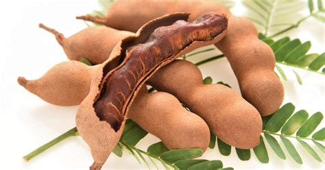 how to pronounce tamarind