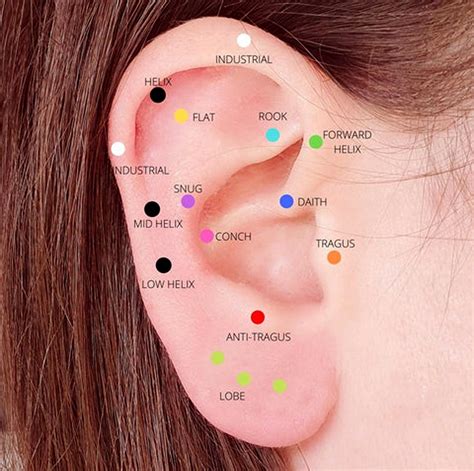 Types of ear piercings best ear piercing chart and guide – Artofit