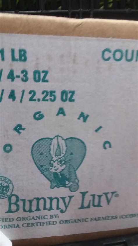 Some Bunny Luv? : r/funnypictures