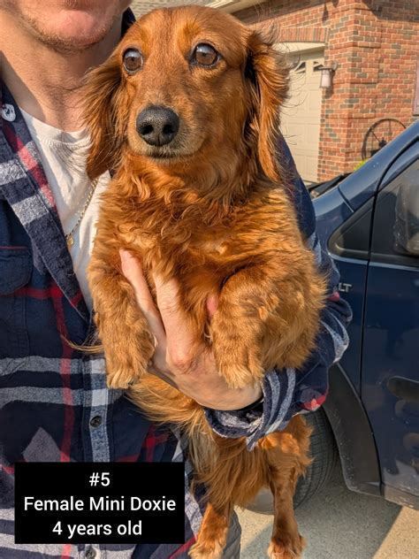 JAR-Justice Animal Rescue... - JAR-Justice Animal Rescue