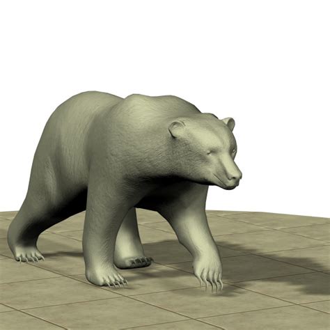 walking bear  stock photo public domain pictures