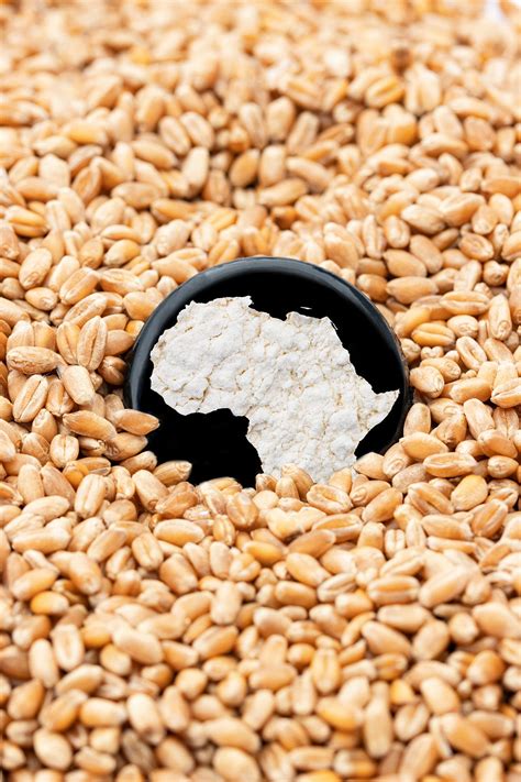 food crisis    huge problem   world  selcuk