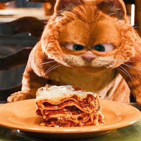 Cinema, Funny Pictures, Cats, Wallpaper, Movies, Anime, Cannoli ...