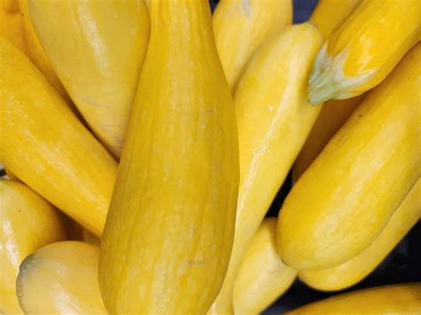 yellow squash south michigan food bank