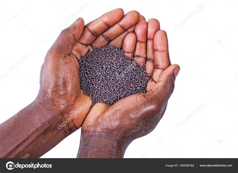mustard seed  hand