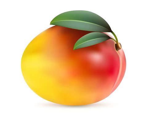 mango clipart clipartworld