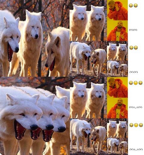I'm getting dizzy : r/ComedySeizure