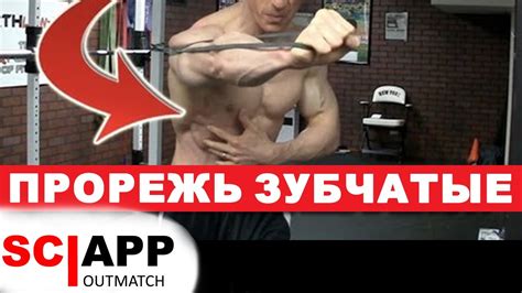 Зубчатые Мышцы. Что Дает Очертание Пресса? | Джефф Кавальер - YouTube
