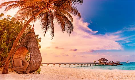 tropical vacations