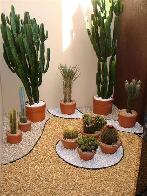Cactos Paisagismo - Jardim de cactos | Garden landscape design, Small garden design, Garden ...