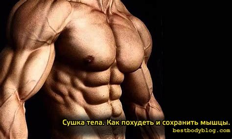 Сушка тела | Как похудеть и сохранить мышцы | bestbodyblog.com