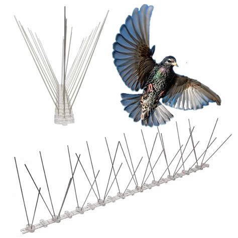* Anti Bird Spikes - Non Lethal & Environmentally Friendly | Buy Online
