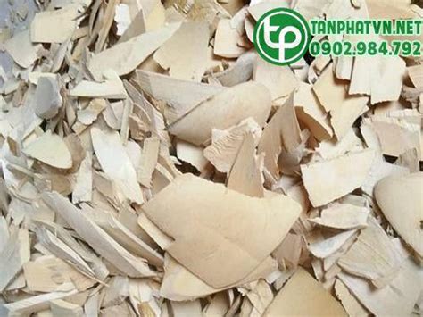 chi ban mat nhan kho tai da nang tang chuc nang sinh ly