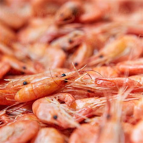 prawn twister coral seafoods