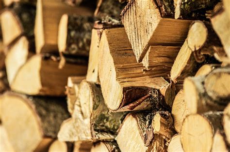 wood cuttings tree  photo  pixabay pixabay