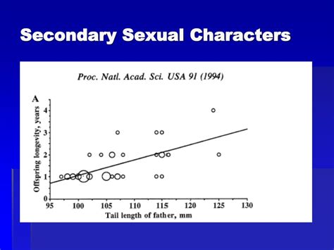 PPT - Sexual Selection PowerPoint Presentation, free download - ID:2989956