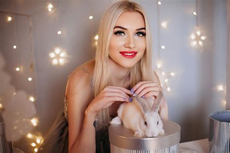 Christmas Bunny Photos, Download The BEST Free Christmas Bunny Stock