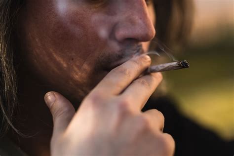 Many Americans wrongly believe exposure to marijuana smoke is safer ...