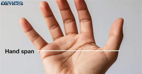 length measurements   metric system accura metrics