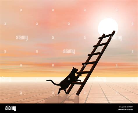 ladder  cat  render stock photo alamy