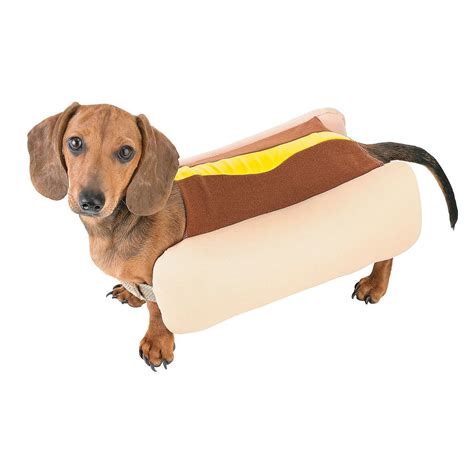 dachshund hot dog outfit 2