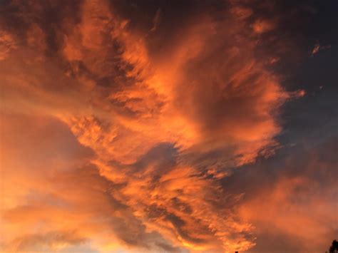 Public outcry over florence AL obituaries digital archive fees 23