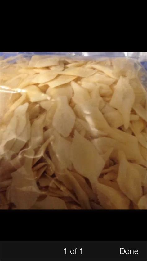 Alligator Gar Scales - The Shell Shop