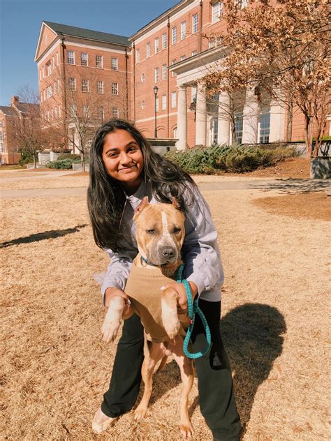 Athenspets - GA - Meet UGA’s favorite adoptable pup:... | Facebook