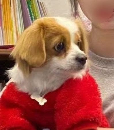 Transforming Perspectives