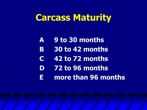 PPT - BEEF CARCASS YIELD AND QUALITY GRADING PowerPoint Presentation ...