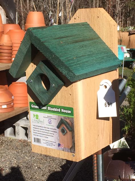 bluebird house for sale 6