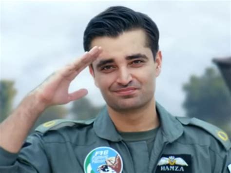 portray positive image  pakistan  real