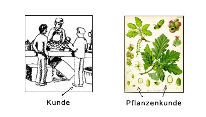 meaning  der kunde yourdailygerman
