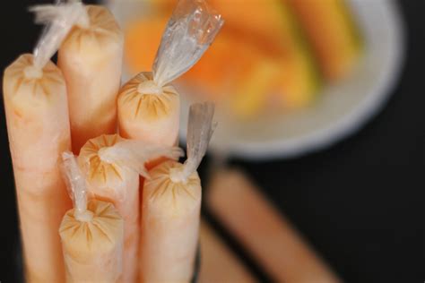 ice candy recipe melon  christine mayer blog