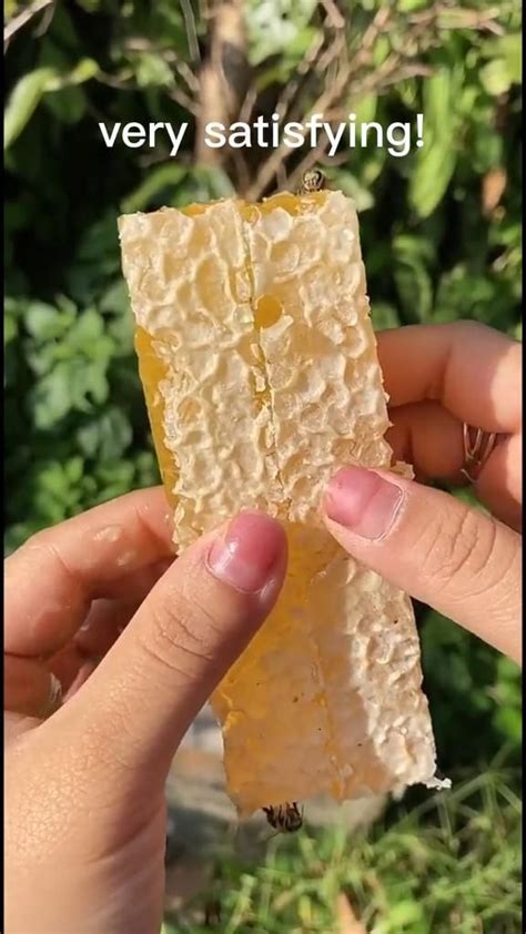 HoneyComb Eating | Jabones
