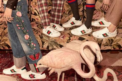 wanted guccis ace sneakers sandras closet