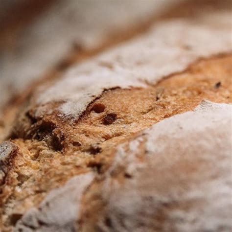 Old-style Bread | Cook & Chef Institute