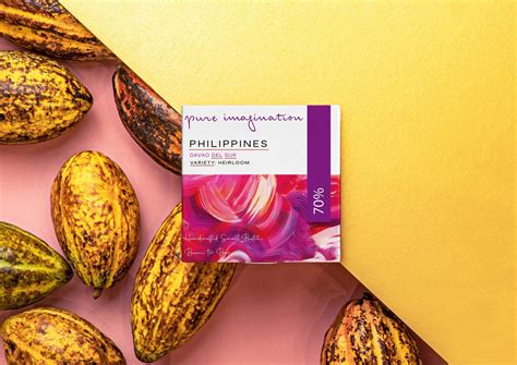 70% Philippines Single Origin Dark Chocolate – Janice Wong Singapore